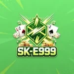 SK E999 Game
