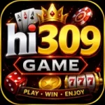 hi309 Game
